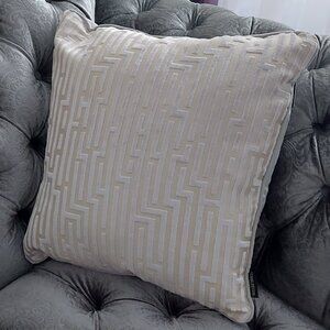 Accent Feather Pillows x 2